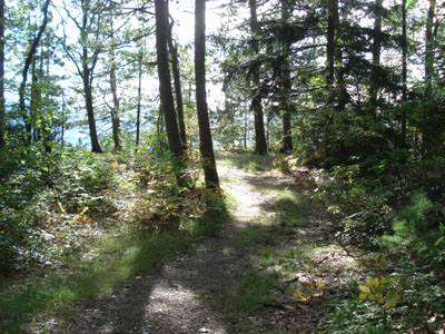 Trail near the High Ledge summit
