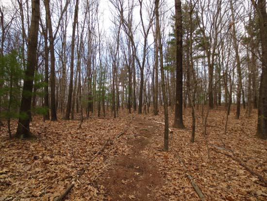 The White Trail