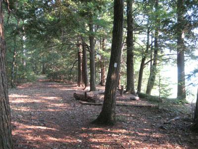 Metacomet-Monadnock Trail to Little Mt. Grace summit