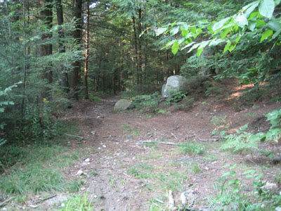 Trail to Metacomet-Monadnock trailhead