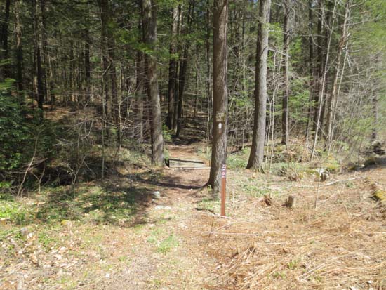 Metacomet-Monadnock Trail trailhead on Northfield Road