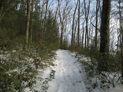 Heading up the trail to the Massaemett Mountain summit