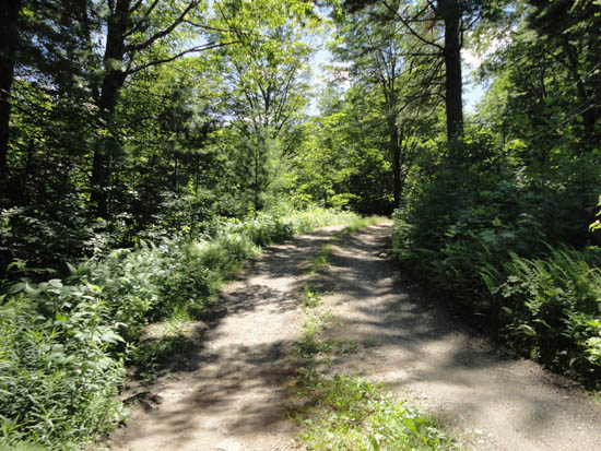 Heading up the access road