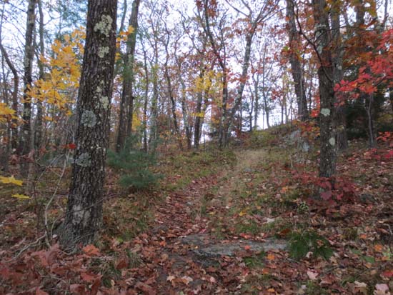 The upper Fire Tower Trail