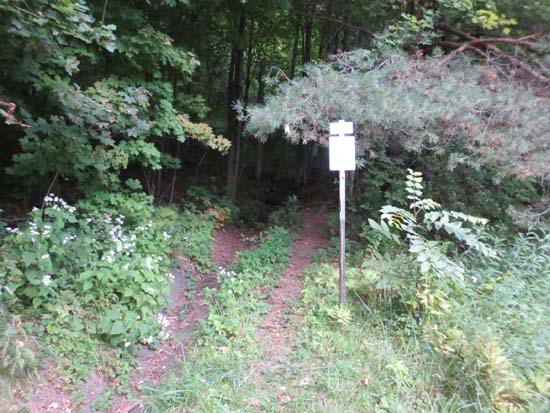 The Fire Tower Trail at the intersection of Route 2 and Halligan Avenue