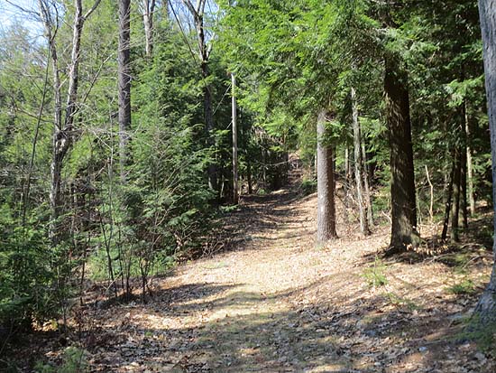 Metacomet-Monadnock Trail to Mt. Grace summit