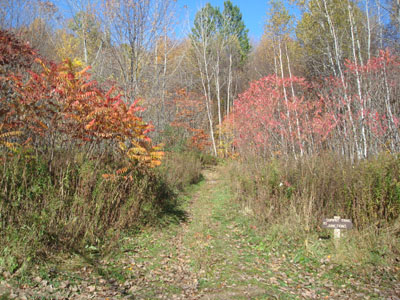 The Thunderbolt Trail trailhead