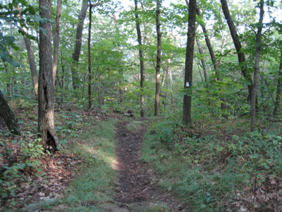 The Metacomet-Monadnock trail to Mt. Hitchcock