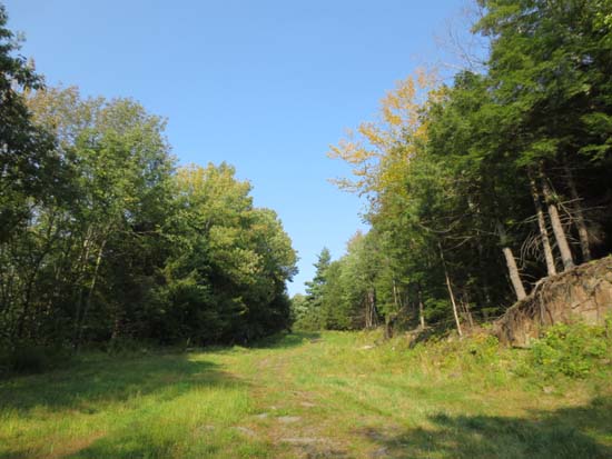 Looking up the Mohawk ski trail