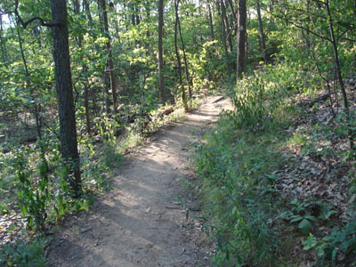 The Metacomet-Monadnock trail to Mt. Norwottock