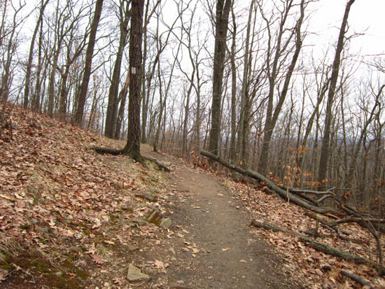 The Metacomet-Monadnock Trail