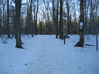 Beginning of the hiking trails near the Visitors Center