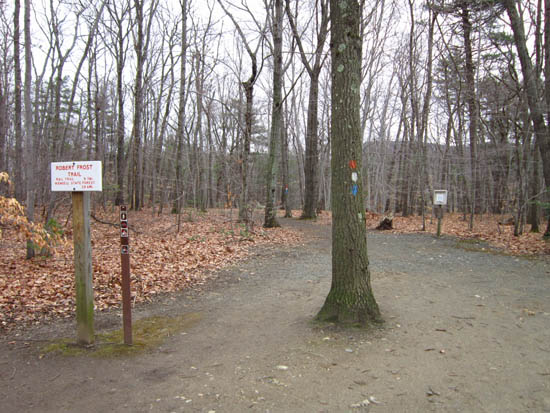 Beginning of the hiking trails near the Visitors Center