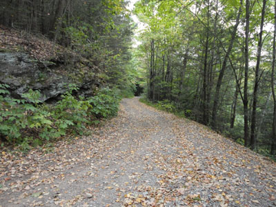 Tower Road