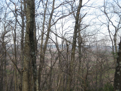 Limited views through the leafless trees near the Nobscot Hill fire tower - Click to enlarge