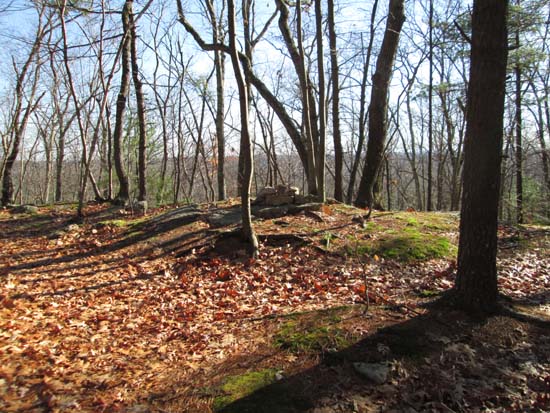 Oak Hill