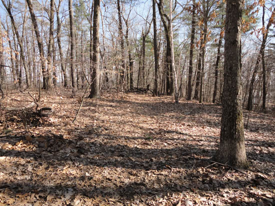 Osgood Hill