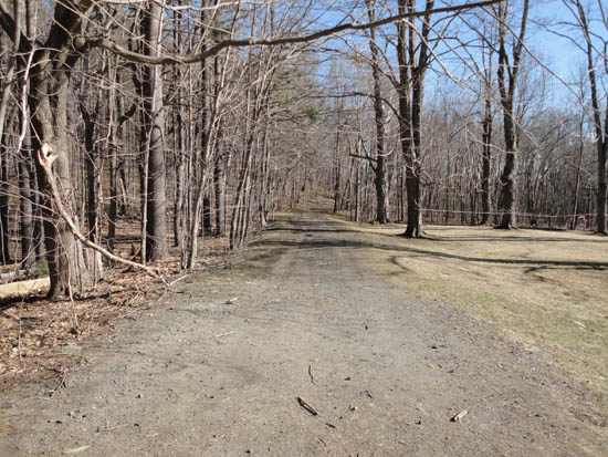 The start of old road at the Stevens Estate