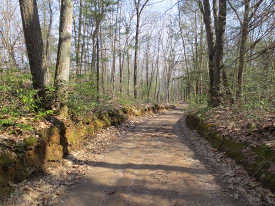The access road