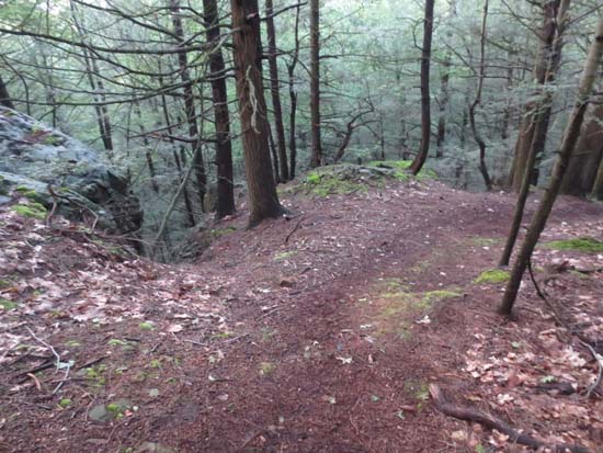 The Pocumtuck Ridge Trail near the abandoned Deerfield Academy ski area