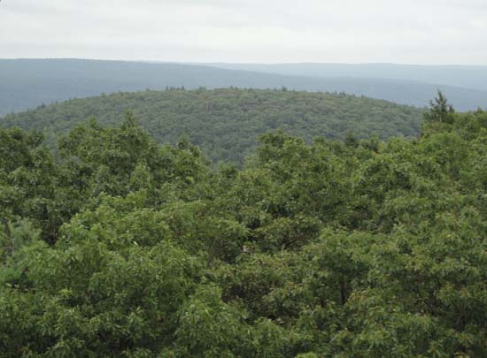 Roaring Mountain as seen from Mt. Toby