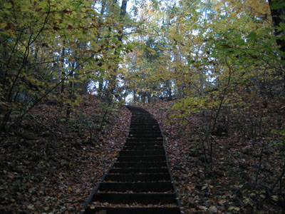 Stairway on the ascent to Sachem Ledge