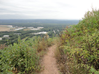 The Pocumtuck Ridge Trail near the summit