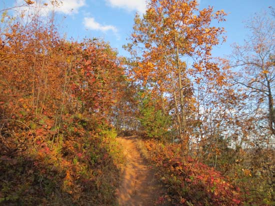 The Pocumtuck Ridge Trail near the summit