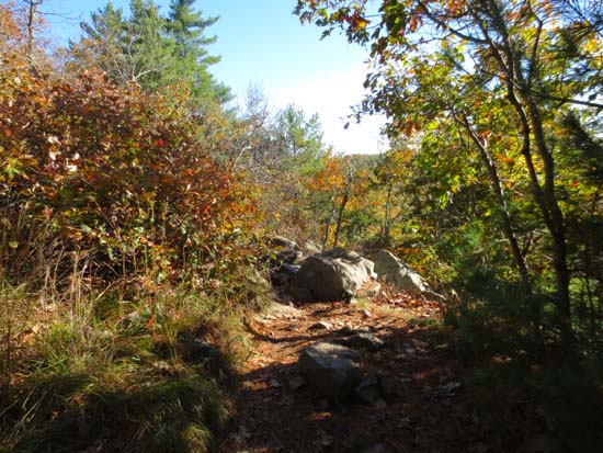 The Sky Line Trail on the way to Tucker Hill