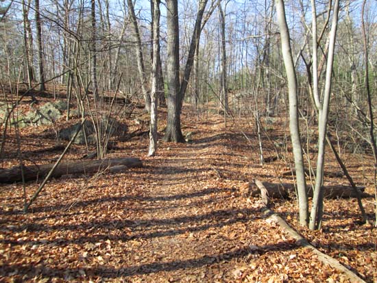 Nearing Wenepoykin Hill on the Skyline Trail