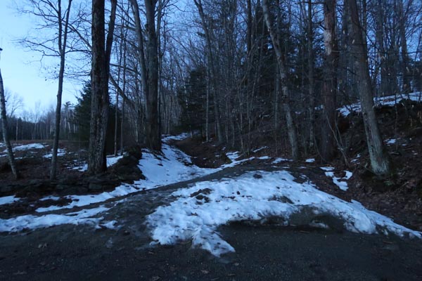The beginning of the woods road portion of Cutting Hill Lane