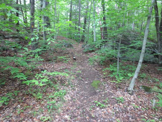 The Trout-n-Bacon Trail trailhead on Old Antrim Road