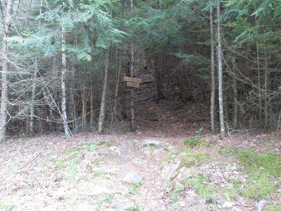 The Hemlock Trail trailhead