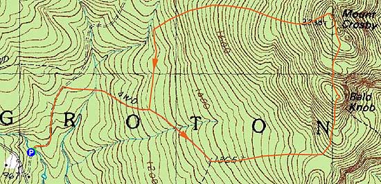 Topographic map of Bald Knob, Mt. Crosby - Click to enlarge