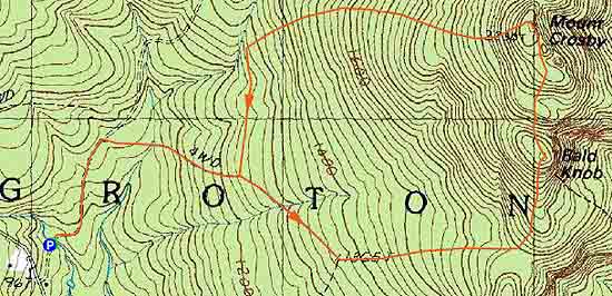 Topographic map of Bald Knob, Mt. Crosby