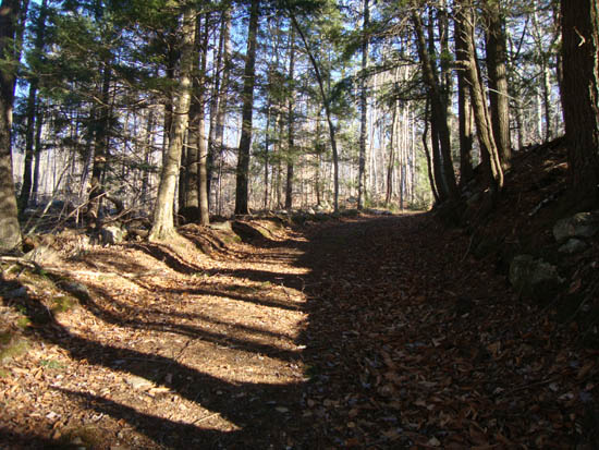 Looking up the Bald Knob Trail