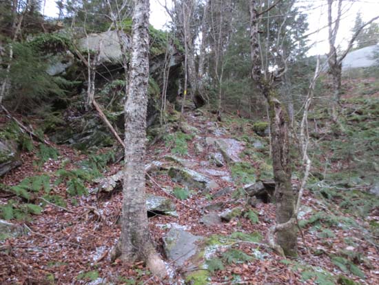 The spur trail from Mt. Crosby to Bald Knob