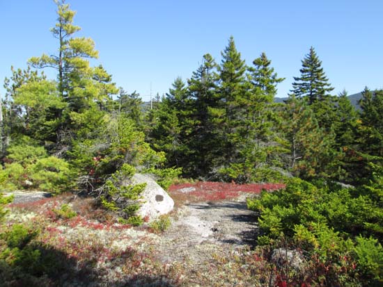 Ledgy areas on the way to Bald Knob