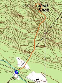 Topographic map of Bald Knob