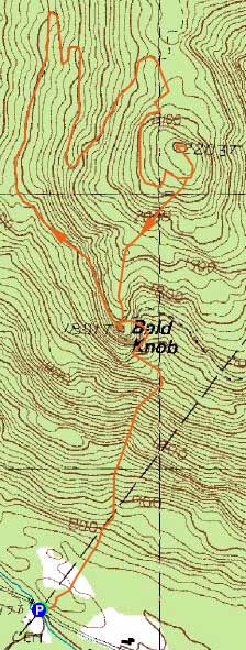 Topographic map of Bald Knob, Turtleback Mountain