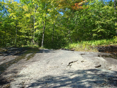 Looking up the Bald Knob Trail