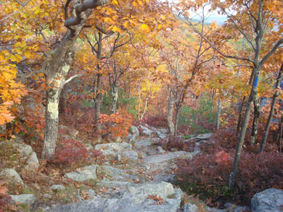Looking down the Bald Knob Trail
