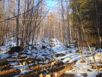 Looking up the Bald Knob Trail