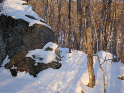 Looking up the Bald Knob Trail