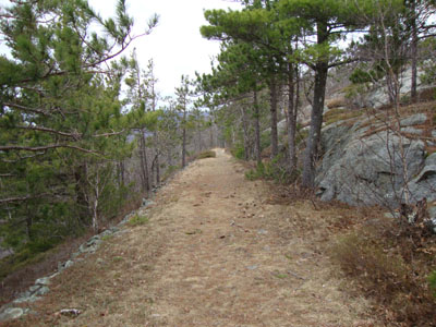 Looking down the Bald Knob Trail