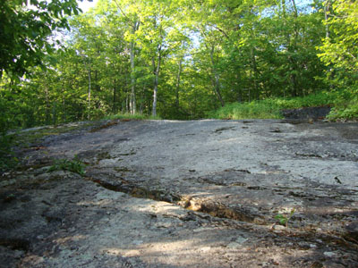 Looking up the Bald Knob Trail prior to the first viewpoint
