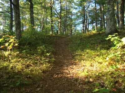 Looking up the Bald Knob Cutoff
