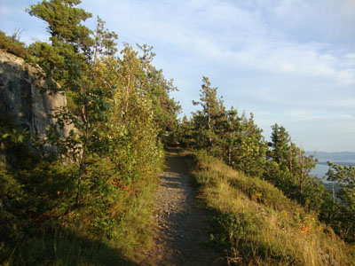 Looking up the Bald Knob Trail