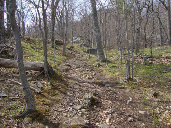 Looking up the Bald Knob Trail near the first viewpoint
