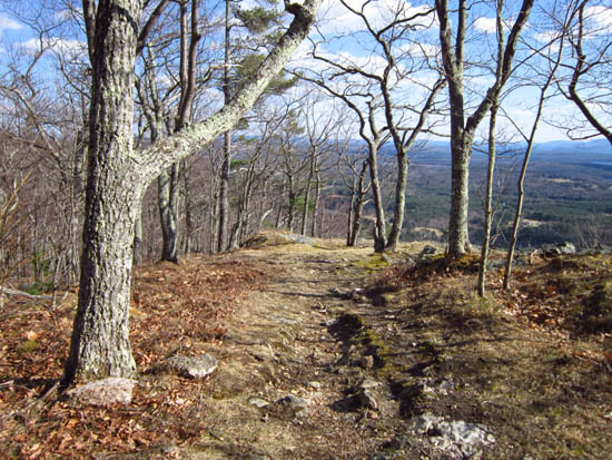 Looking down the Bald Knob Trail